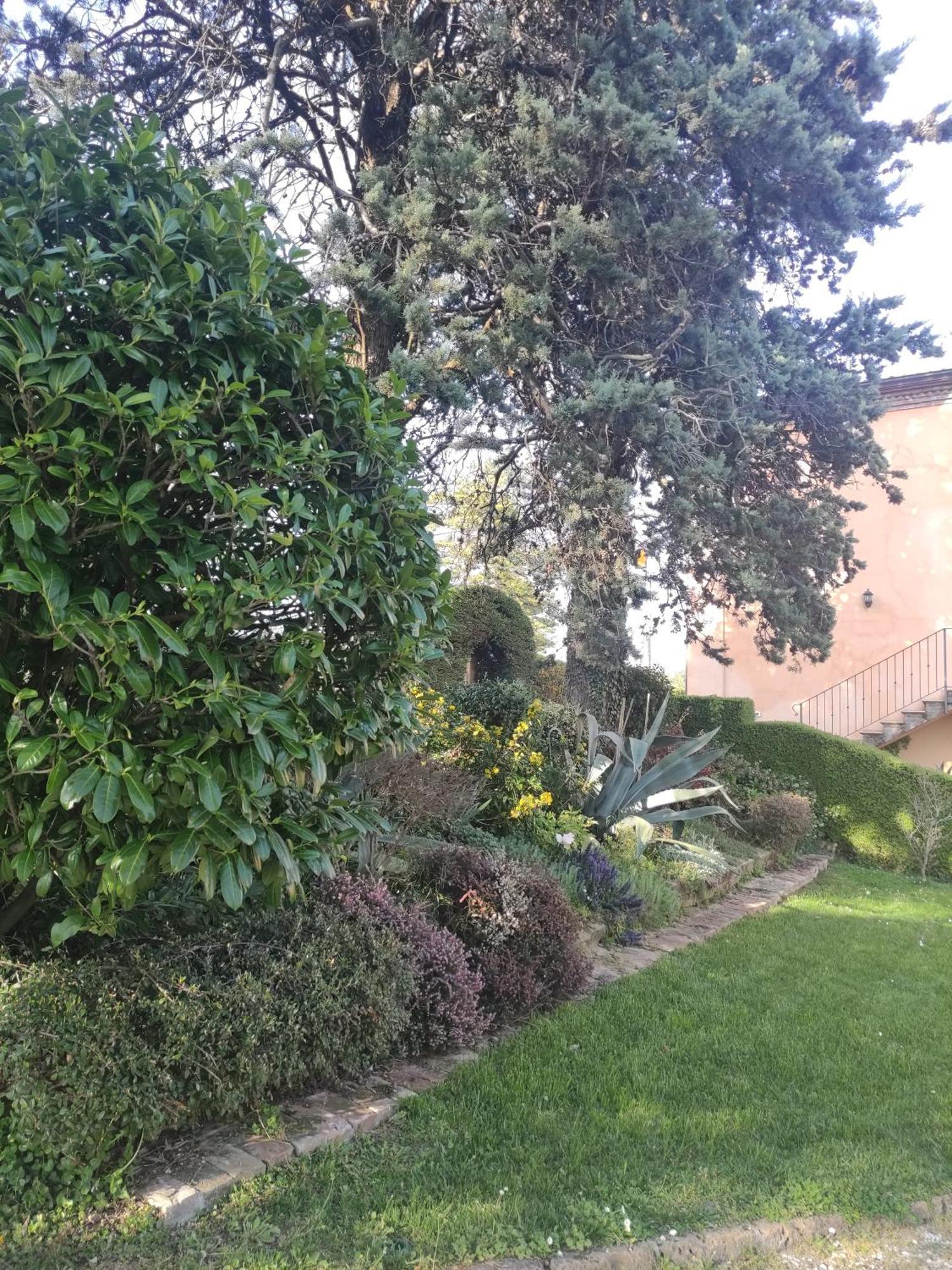 Bed and Breakfast La Pergola Becedasco Exterior foto